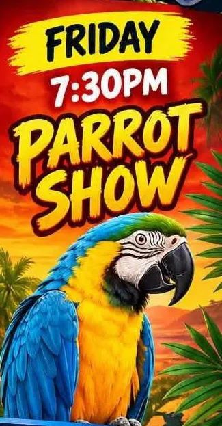 Parrot Show at Scallywags Family Showbar, Costa Adeje — Tenerife event poster